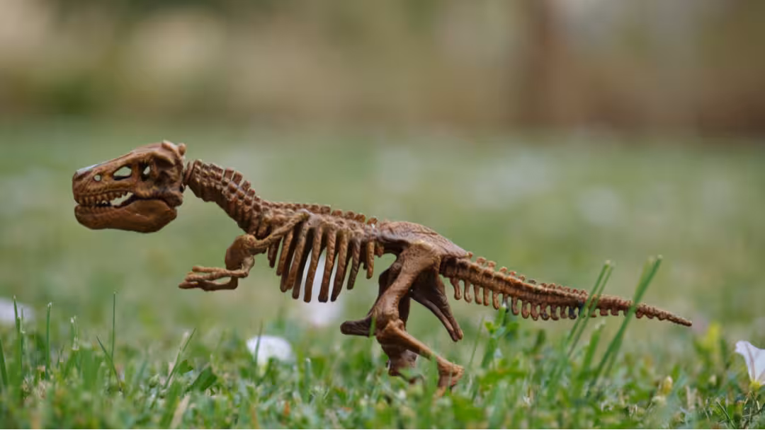 dinosaure