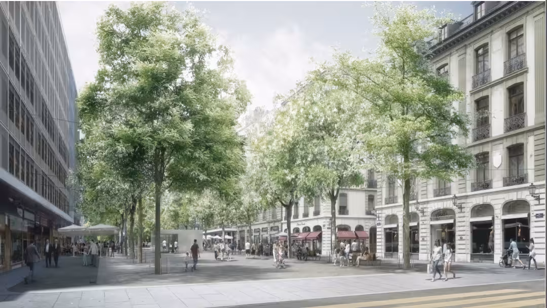 rive-projet