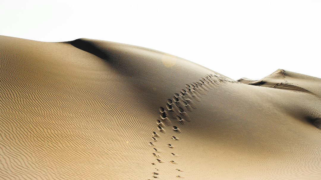 Des traces dans le sable